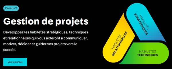 Cursus en gestion de projet